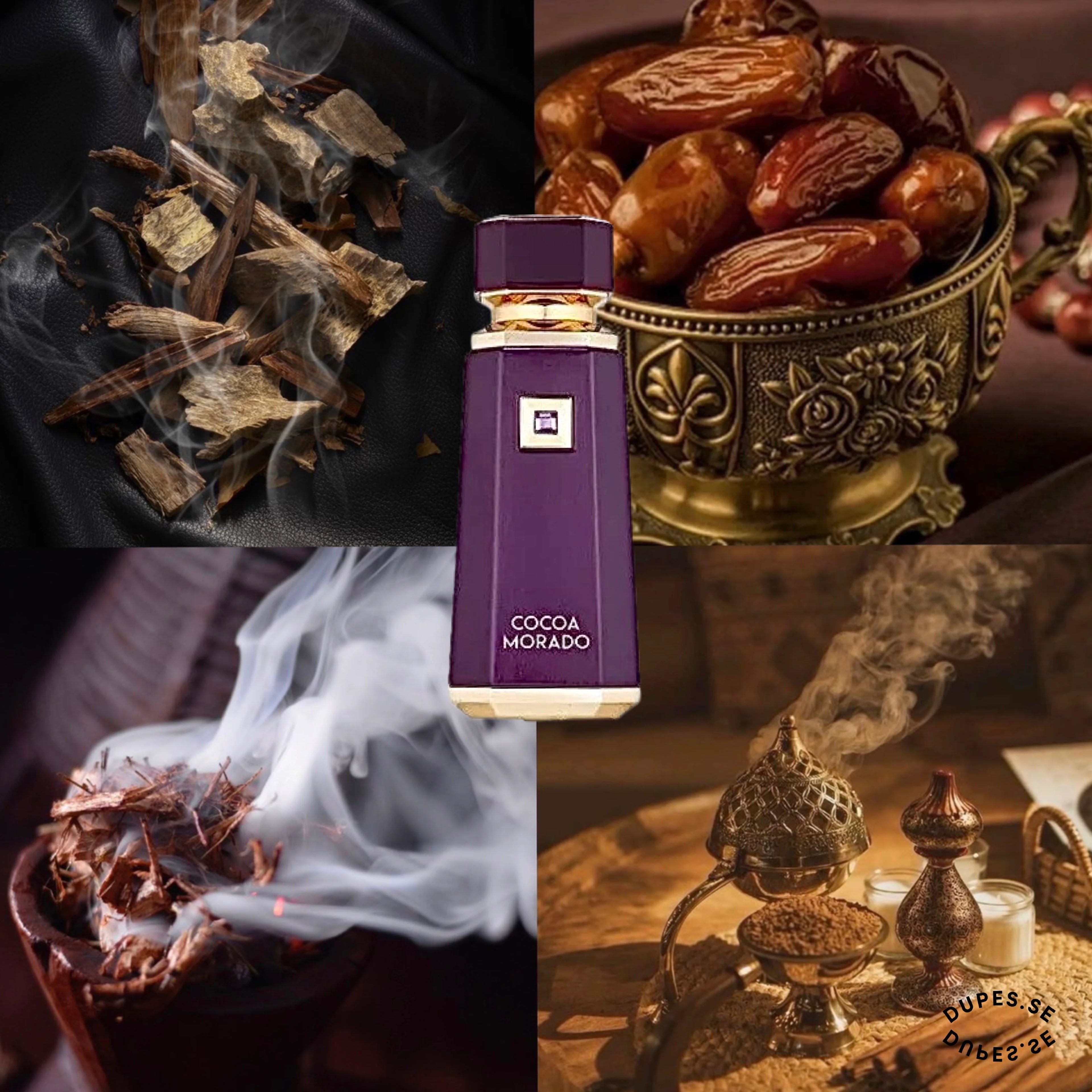 Cocoa Morado French Avenue pour homme et femme_ parfum 100ml
